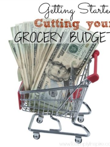 a shopping cart with twenty dollar bills