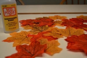 Artificial leaves scattered on a counter