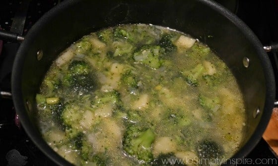 Healthy-Broccoli-Potato-Leek-Soup3