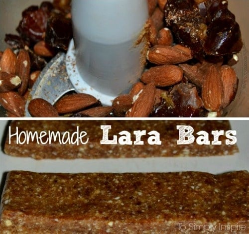 Homemade-Lara-Bars3