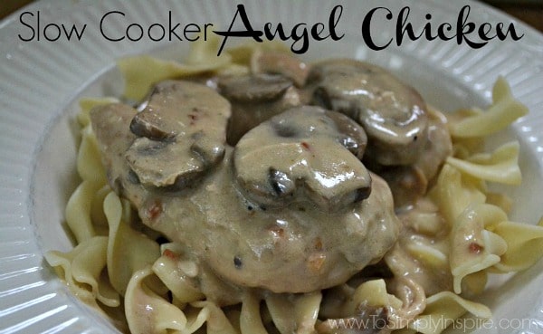 A close up of food on a closeup of mushrooms and chicken over egg noodles topped with a creamy sauce