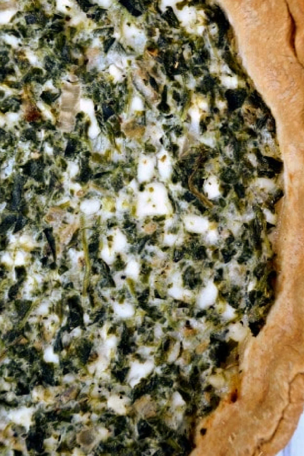closeup of a spinach and feta pie