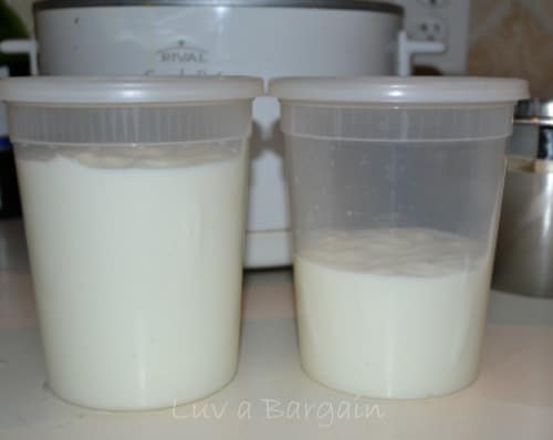 A close up of two clear plastic containers of plain yogurt