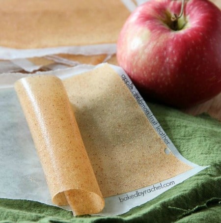 apple cinnamon fruit leather