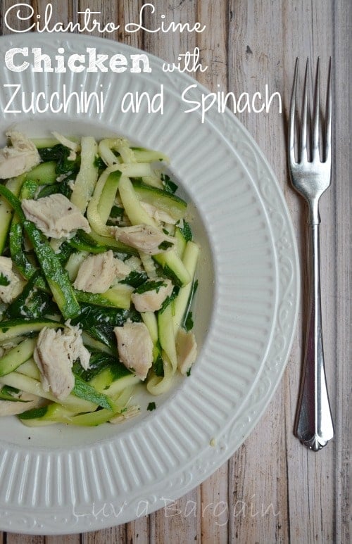 closeup of a white plate with sliced zucchini and chicken