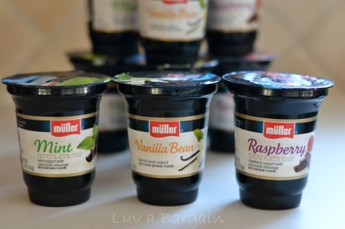 Muller Ice Cream Inspired Yogurt