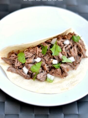 Shredded Barbacoa beef in a flour tortilla topped with cilantro and onion on a white plate.