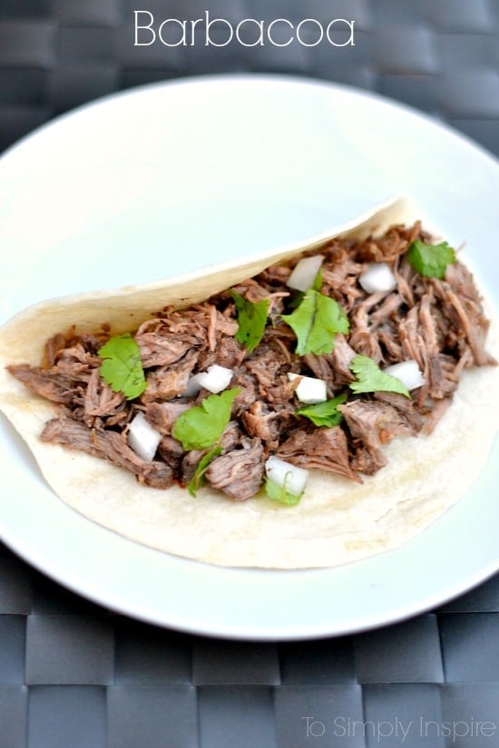 Shredded Barbacoa beef in a flour tortilla topped with cilantro and onion on a white plate.