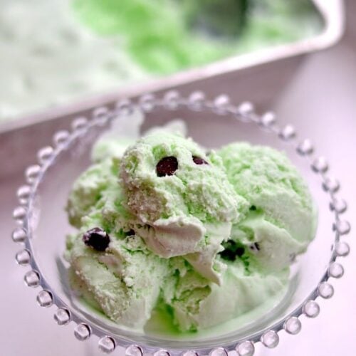 No Churn Homemade Mint Chocolate Chip Ice Cream