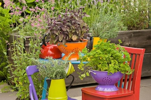 colanders-planters