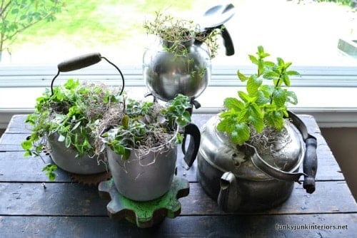 herb-garden-in-old-kettles