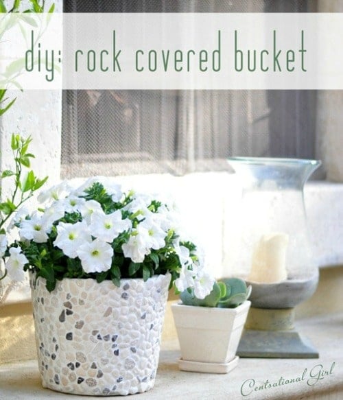 rocky planter