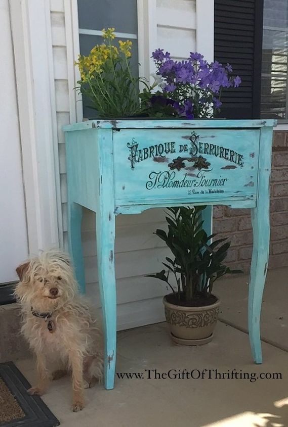 A dog sitting in front of a blue table 