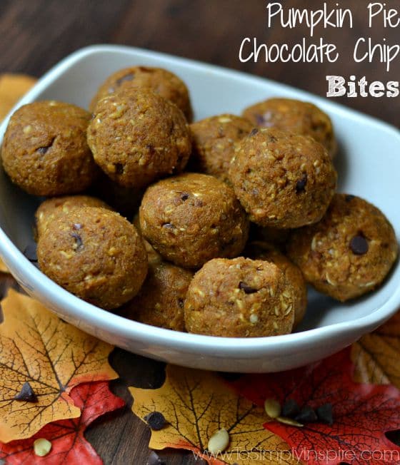 Pumpkin Pie Chocolate Chip Bites1-1