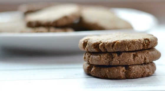 a closeup of a stack of 3 gingerbread cookies