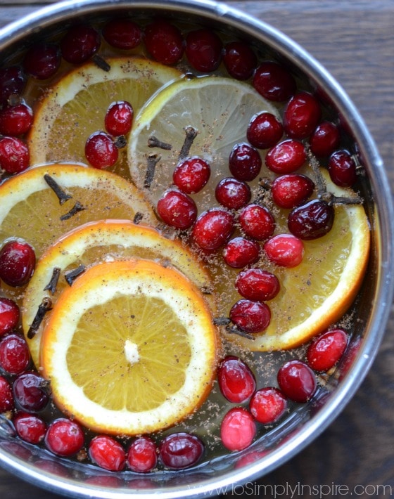 a closeup of a silver pot with water, fresh cranberries and orange slices