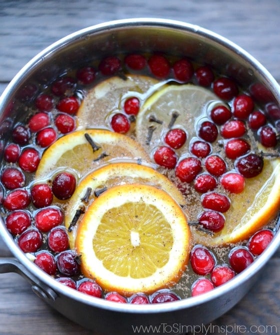 A silver pot filled with fresh cranberries, orange slices and cloves