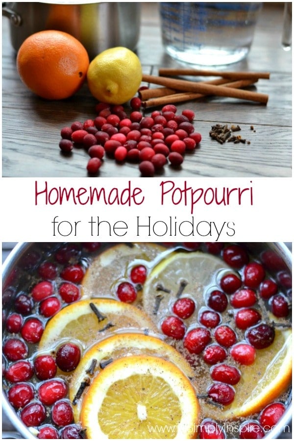 Homemade Potpourri for the Holidays