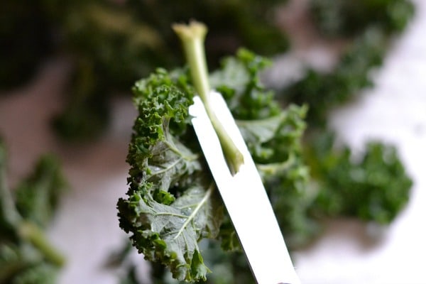 scissors trimming stalks off kale