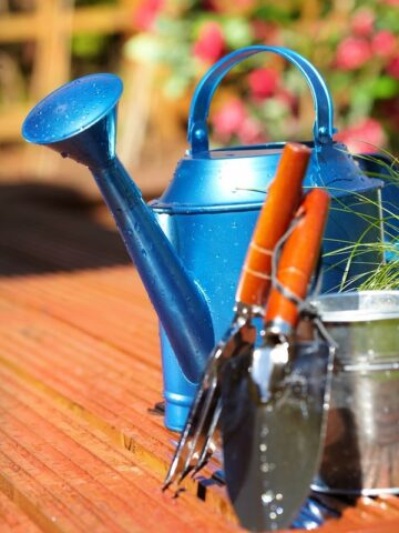 A blue watering can with gardening tools