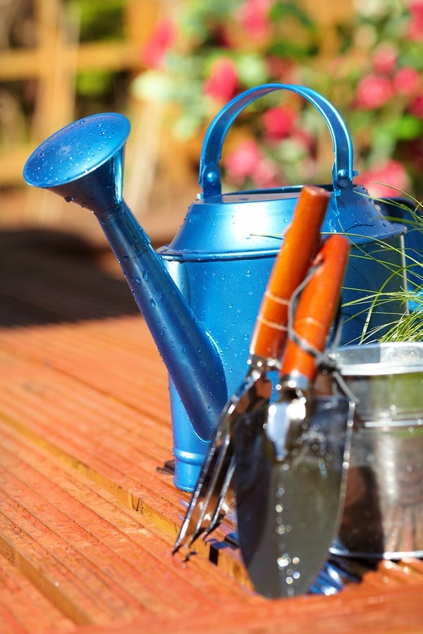 A blue watering can with a gardening shovel and can