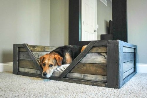 Dog bed