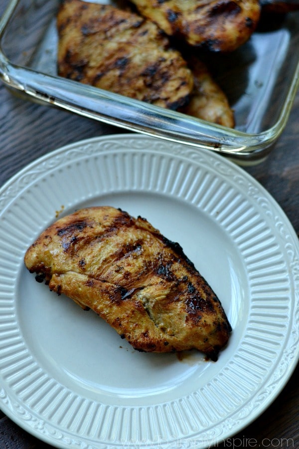 closeup of a white plate with a piece of grilled chicken breast