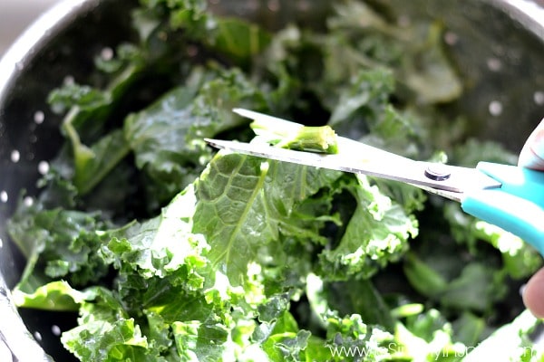 A close up of a piece of kale