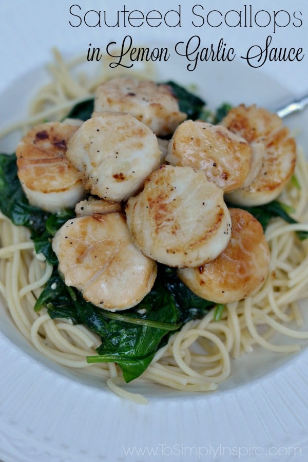 eight sautéed scallops on a bed of spinach and spaghetti noodles