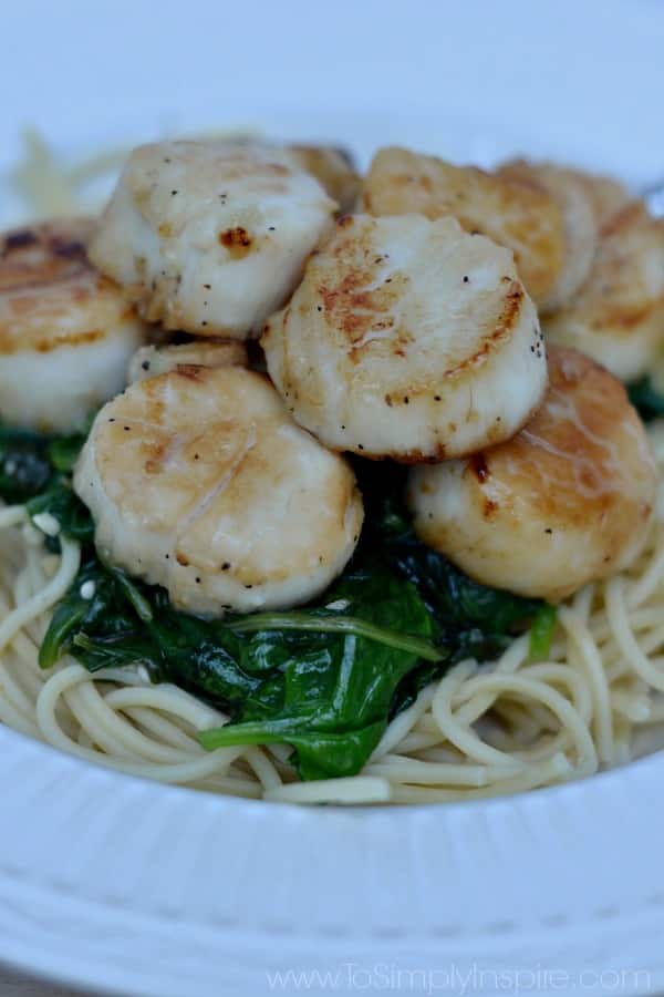 closeup of cooked scallops on spinach and noodles