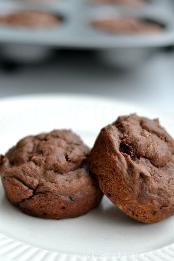 closeup of two chocolate muffins on a white plate