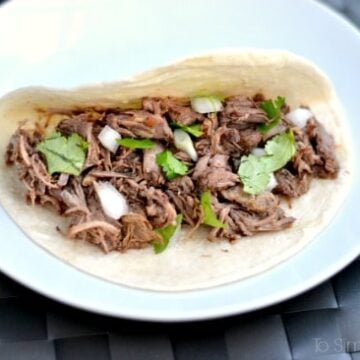 Shredded Barbacoa beef in a flour tortilla topped with cilantro and onion on a white plate.