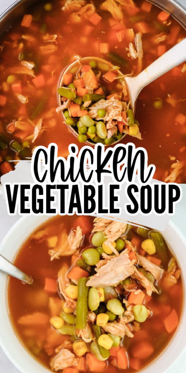 Chicken Vegetable Soup - A Hearty, Healthy Meal