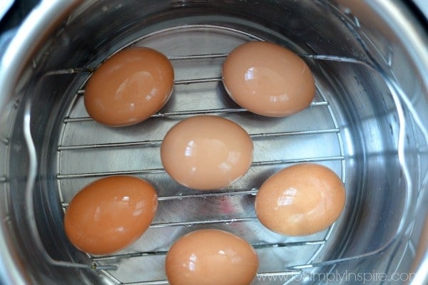brown eggs placed on the rack in a instant pot