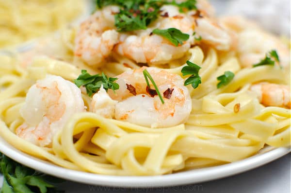 shrimp scampi over fettuccine noodles sprinkled with fresh parsley