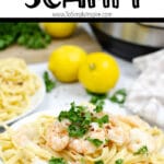 shrimp scampi over fettuccine noodles on a white plate with an instant pot in the background