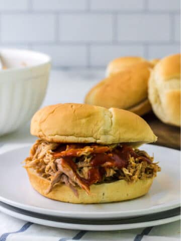 Barbecue Pulled Pork on a Bun with barbecee sauce