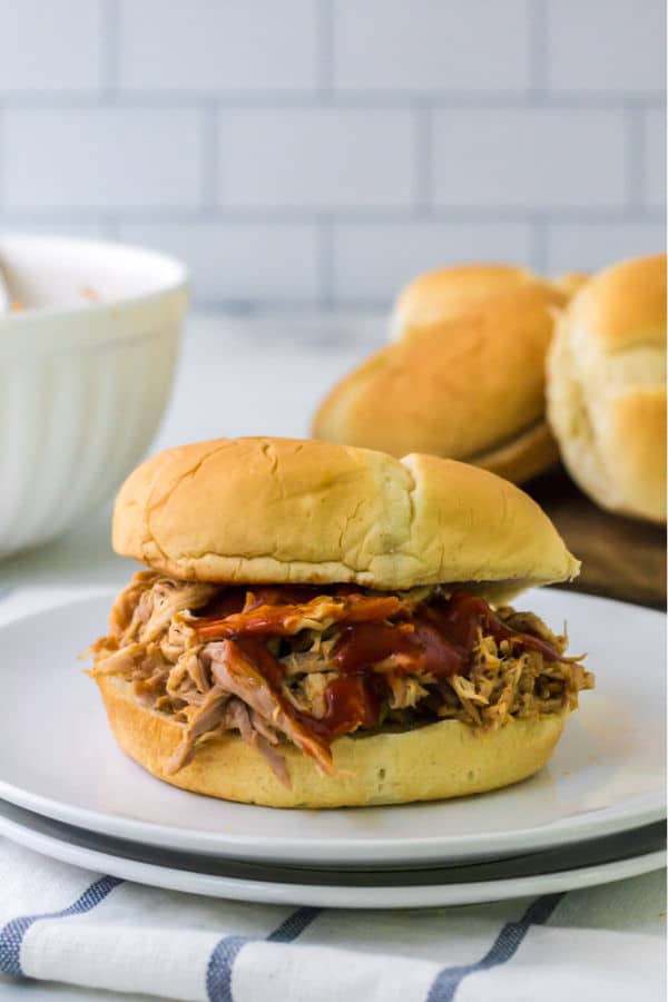 Barbecue Pulled Pork on a Bun with barbecee sauce