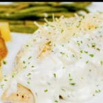 closeup of chicken breast covered in creamy sauce