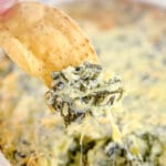 closeup of a scoop of spinach artichoke dip with a tortilla chip over the dish full of dip