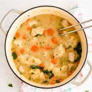 big white pot of chicken and dumplings