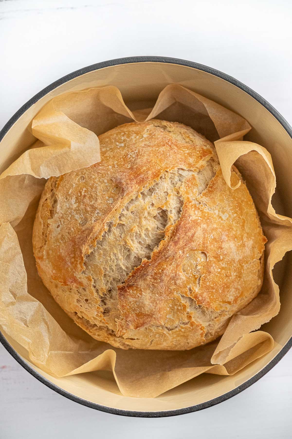 round sourdough bread loaf in a red dutch oven