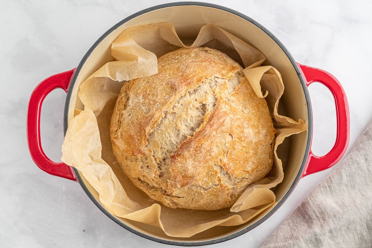 baked sourdough bread in a red dutch oven