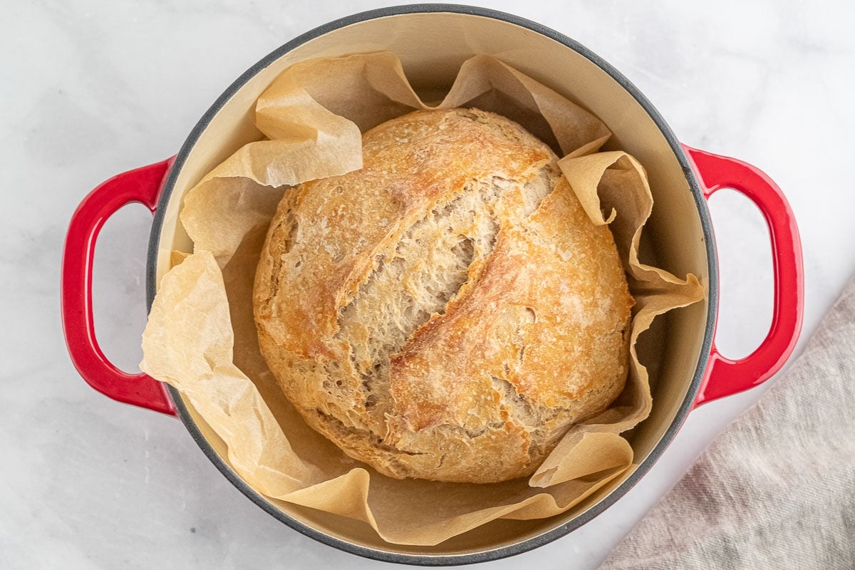 Sourdough loaf in my new lodge pan : r/castiron