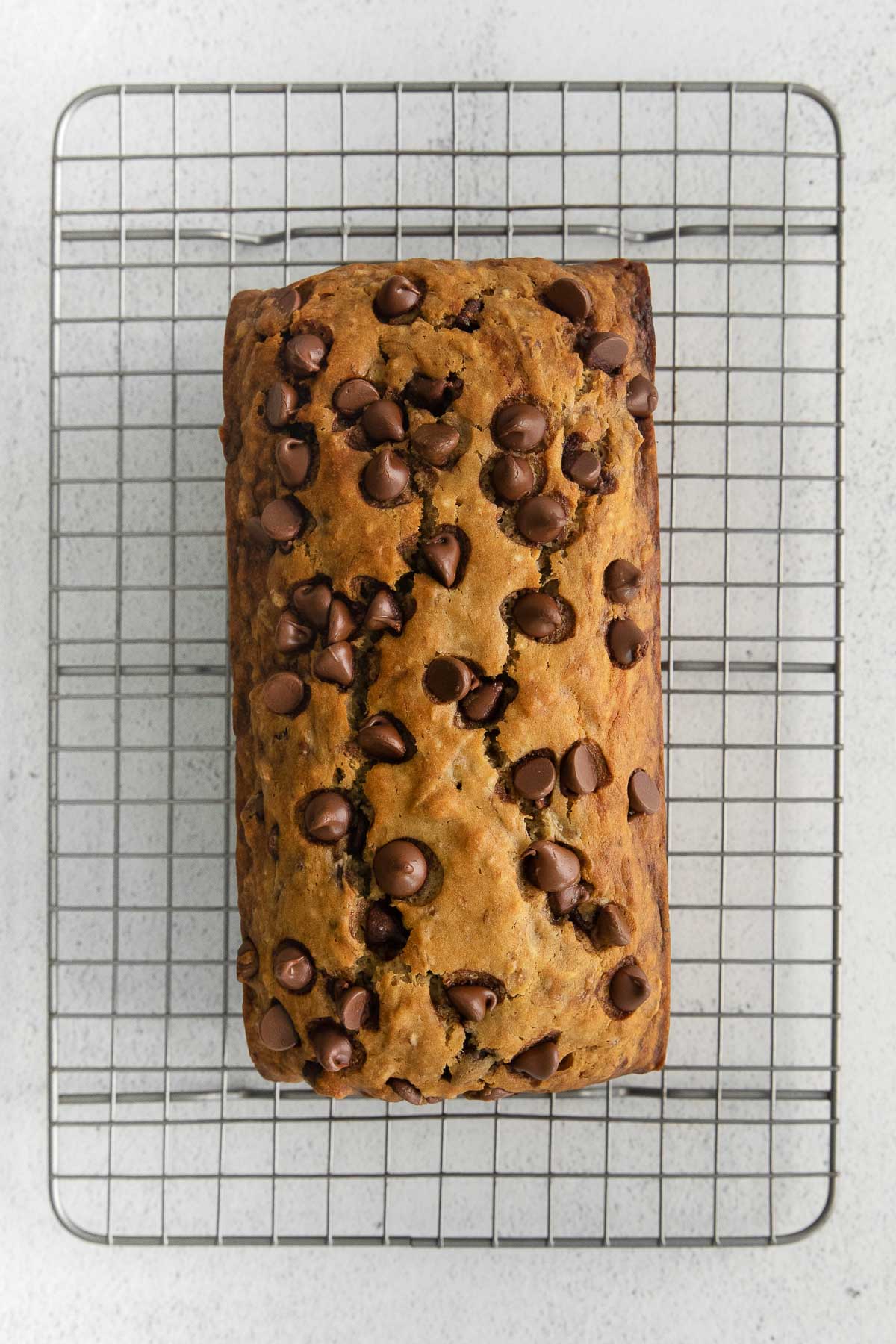 chocolate chips bread on a wire cooling rack