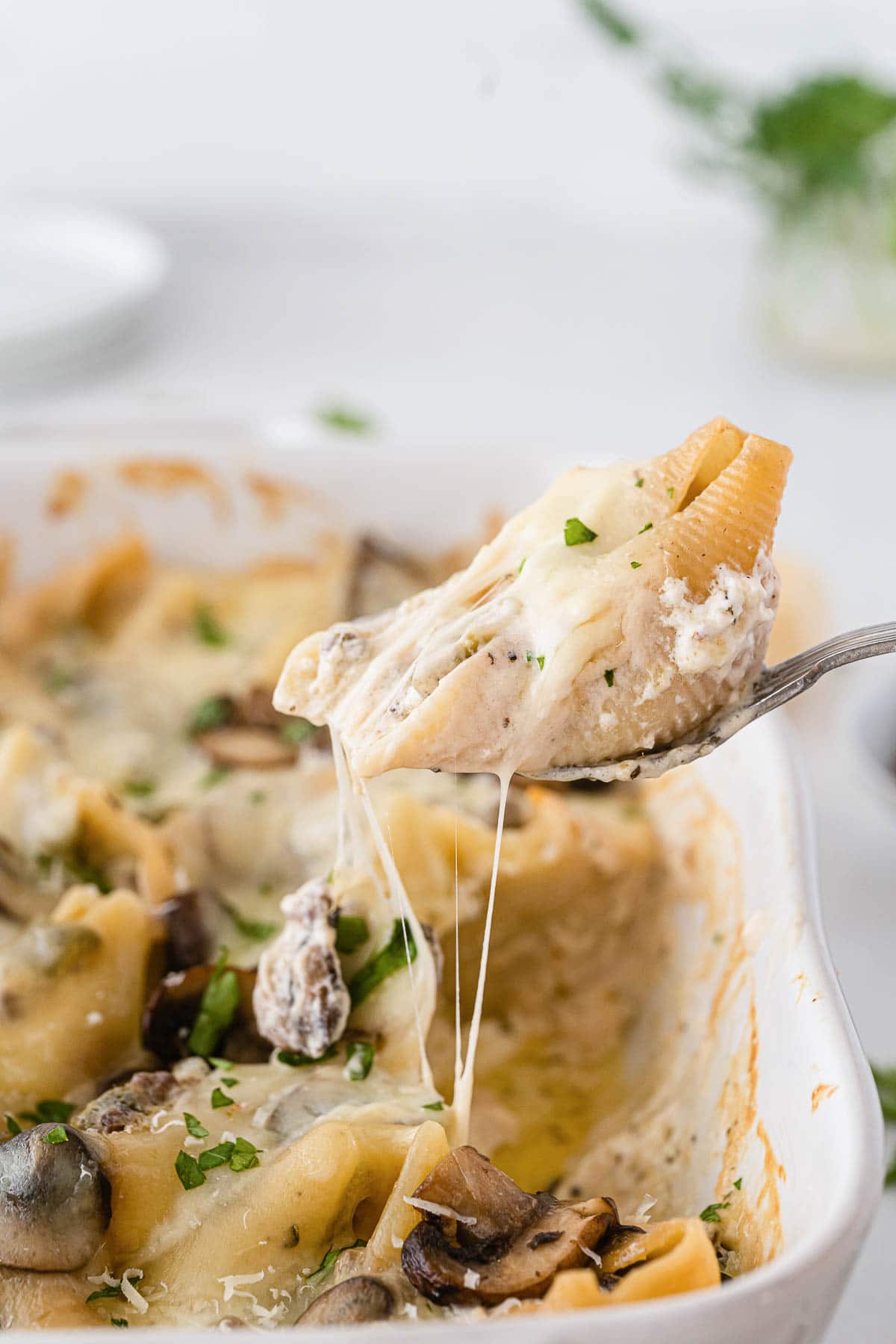 cheesy stuffed shell in a white sauce being scooped out of a casserole dish