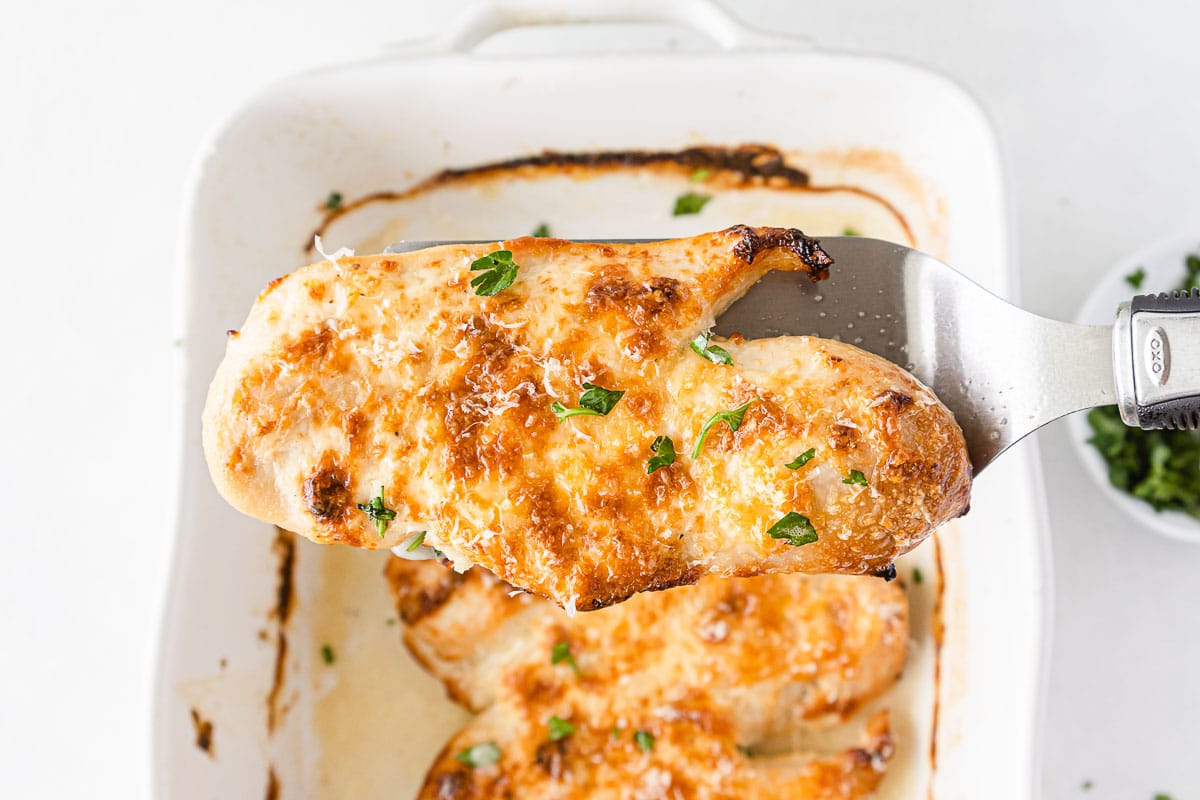 closeup of a parmesan crusted chicken breast on a metal spatula