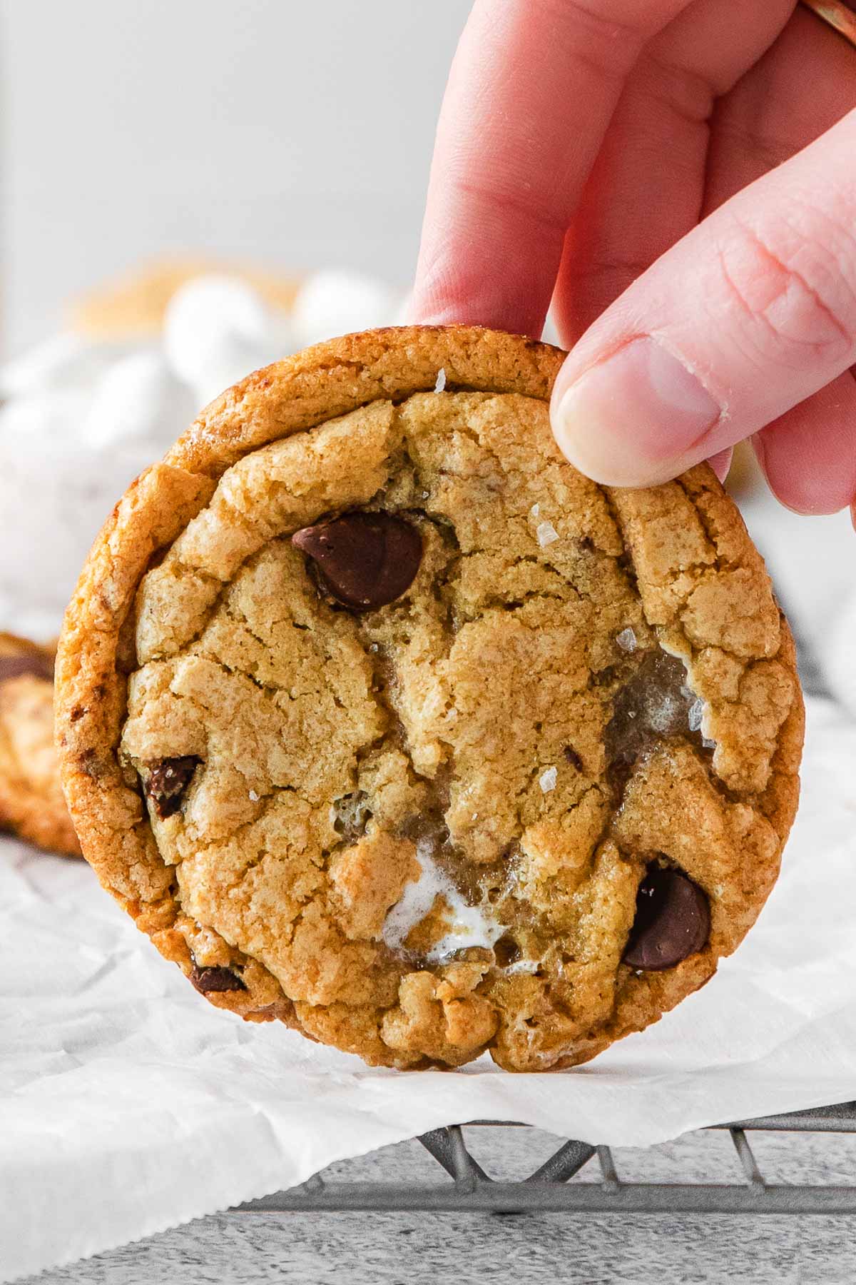 closeup of one s'mores cookie being held up by a woman's fingers