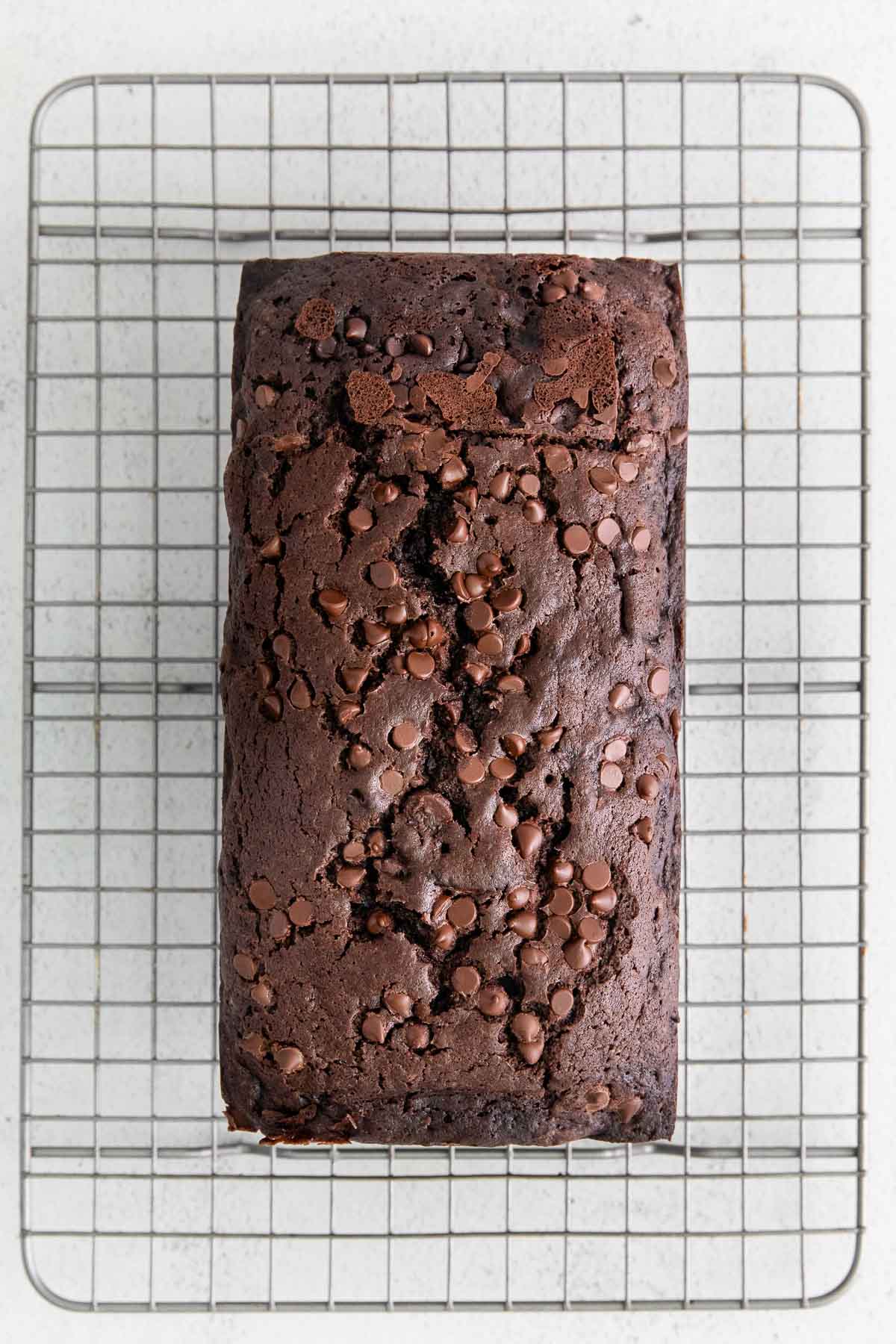 loaf of chocolate bread with chocolate chips on top on a wire cooling rack