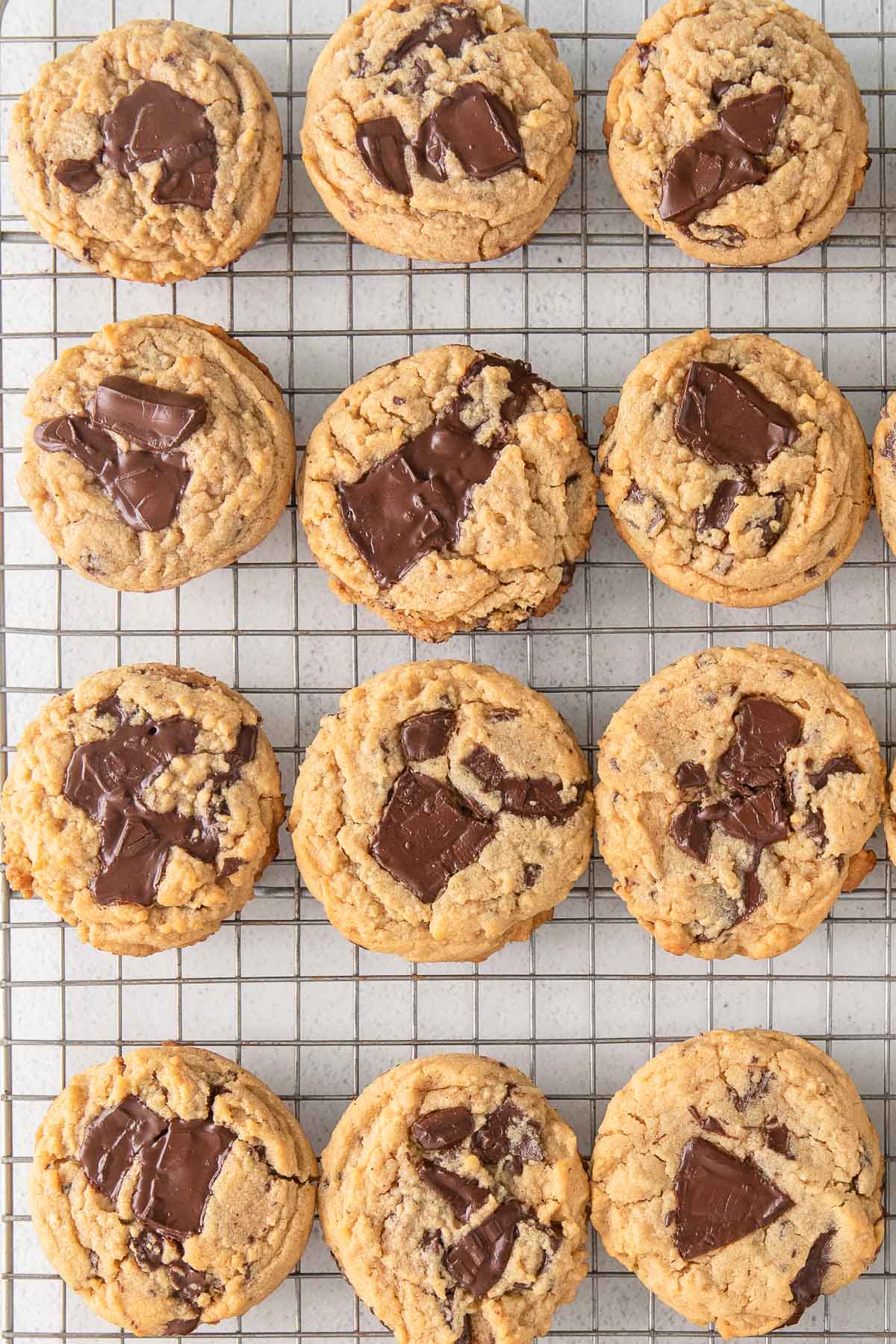 twelve peanut butter chocolate chip cookies lined on a wire rack